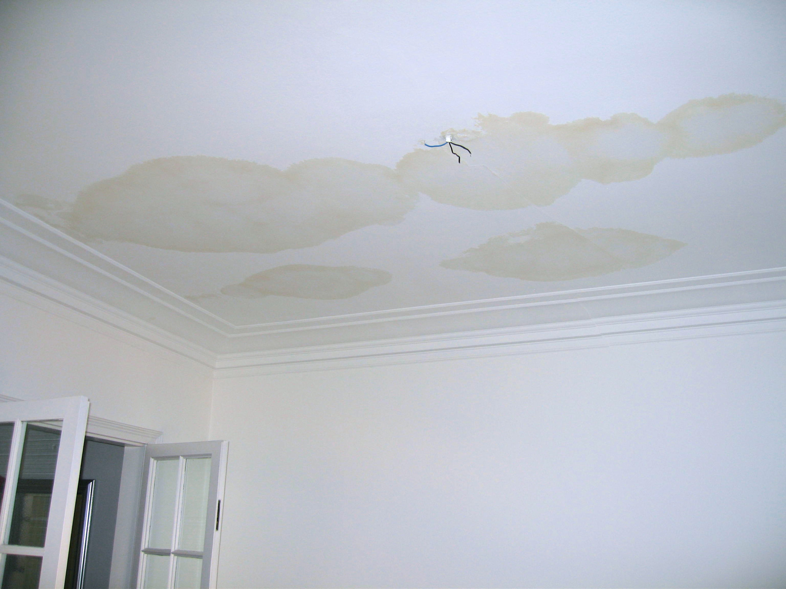 Home Improvement Made Easy Covering Ceiling Stains Denver Urban