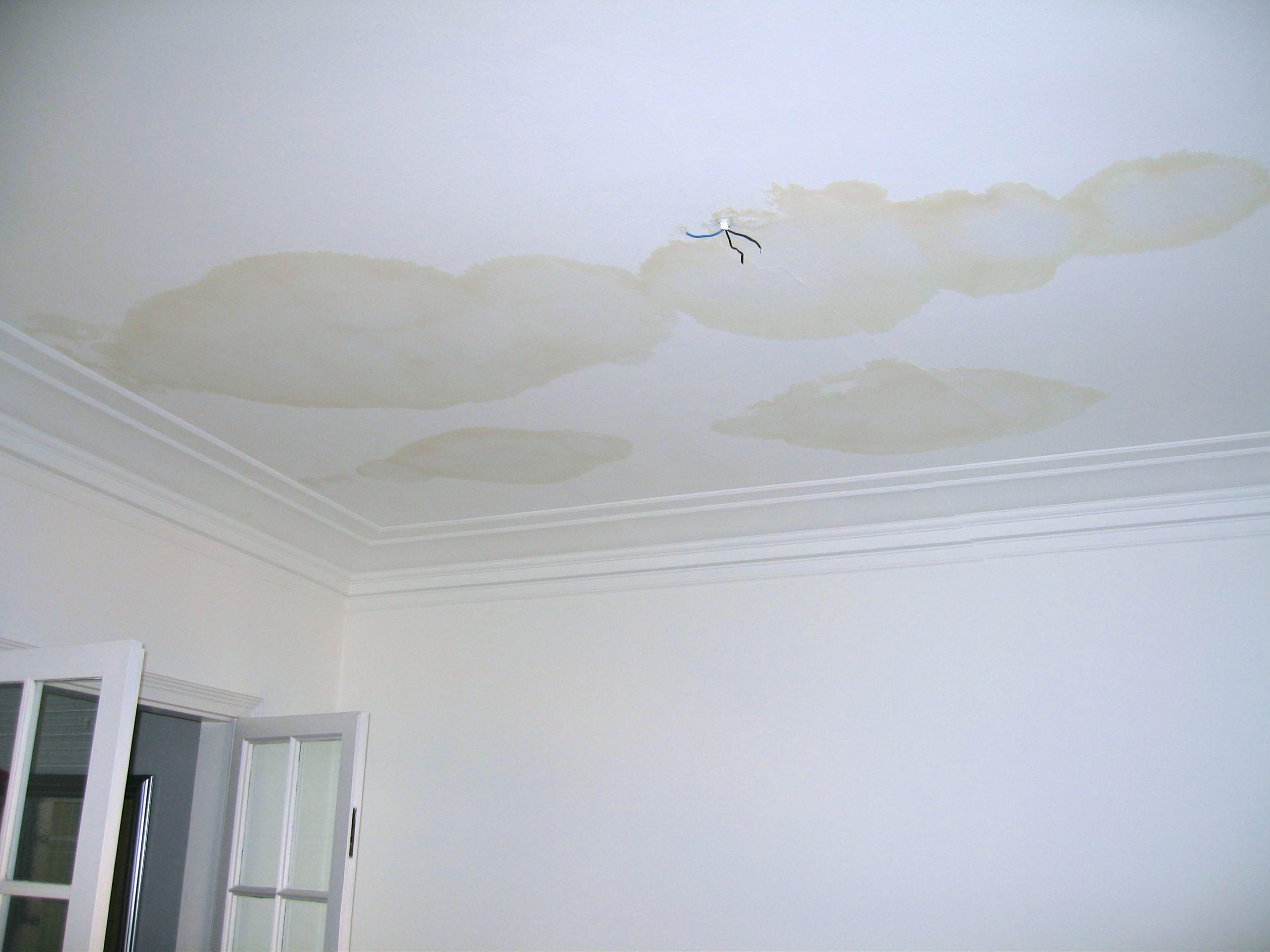 home-improvement-made-easy-covering-ceiling-stains-denver-urban